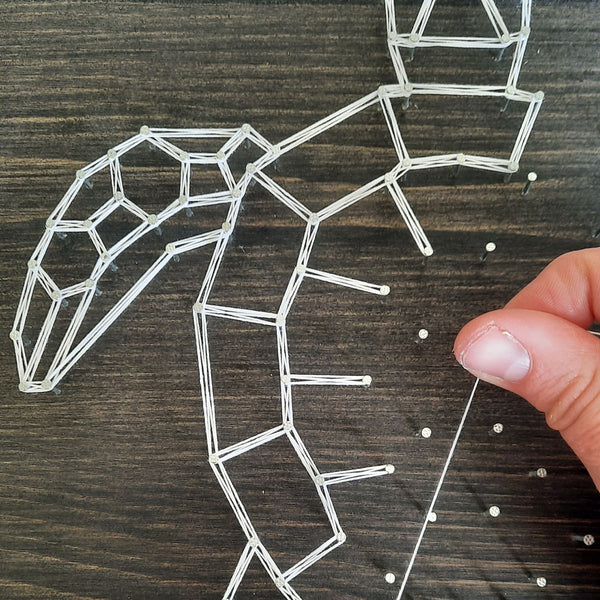 Fadenbild DIY-Set "Geometrische Schildkröte"