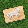 Fadenbild DIY-Set "Pferd"