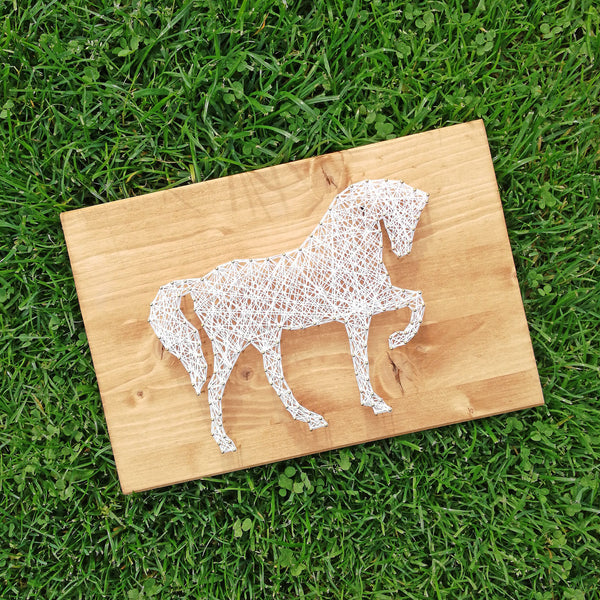 Fadenbild DIY-Set "Pferd"