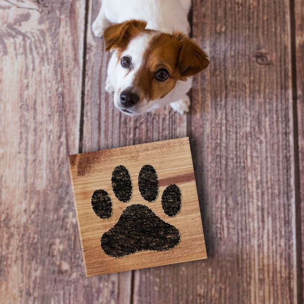 Fadenbild DIY-Set "Pfote"